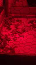 A turtle boil is an exciting experience!