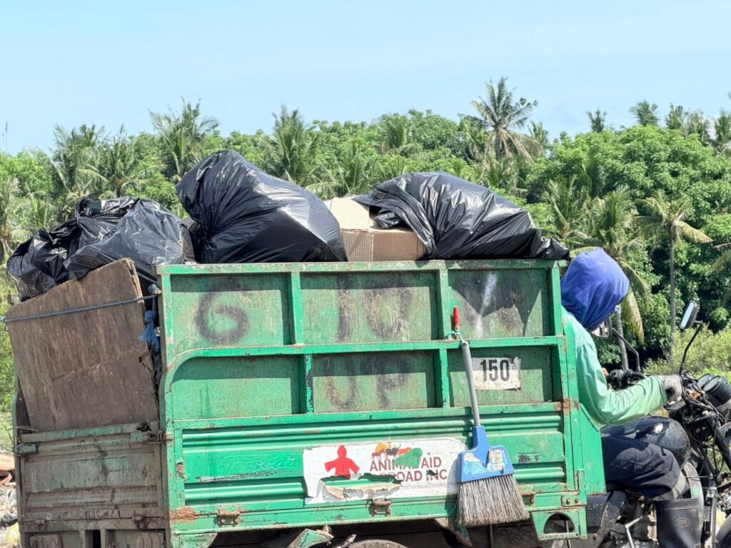 daily waste collection