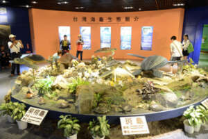 Samples of the 3D art exhibit we want to create