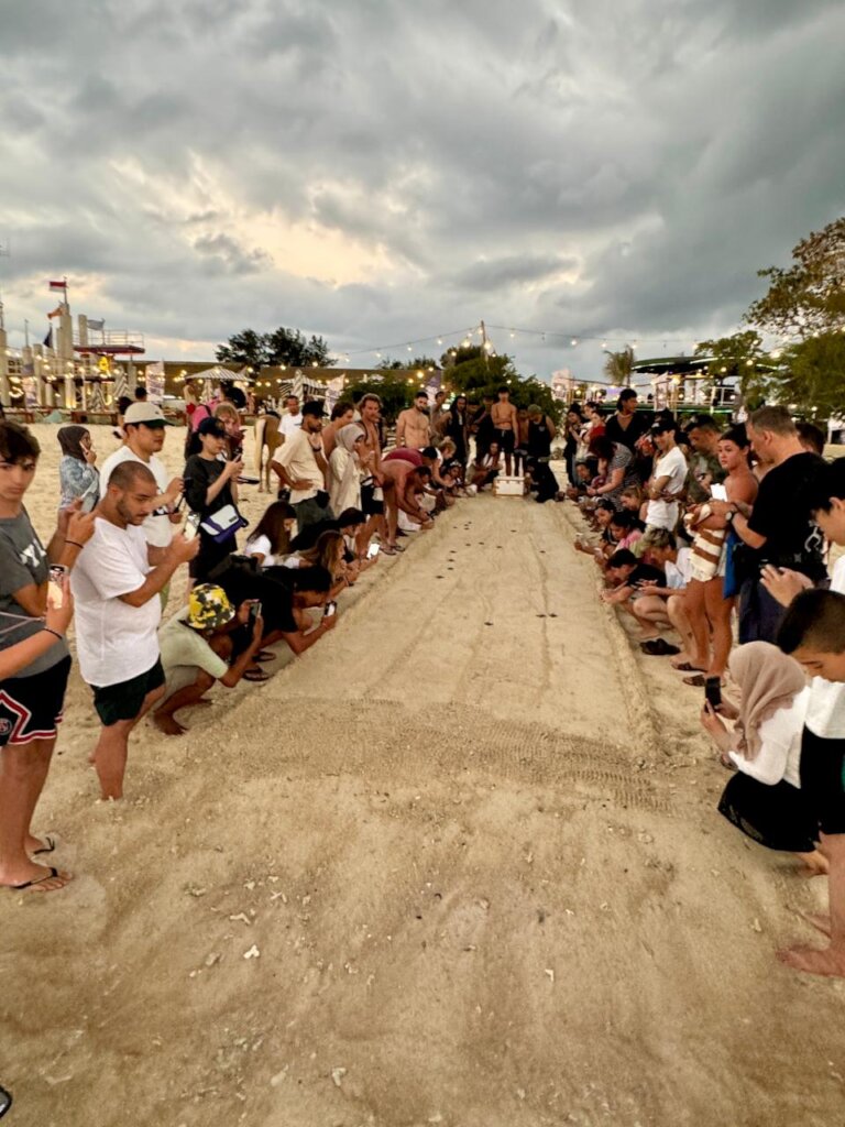 Save the Gili Turtles & Help to Build a Hatchery