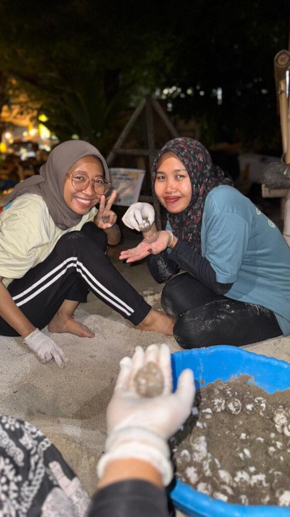Save the Gili Turtles & Help to Build a Hatchery