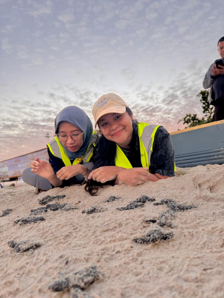 Save the Gili Turtles & Help to Build a Hatchery
