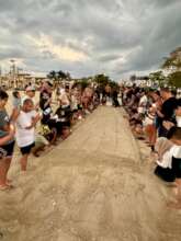 Controlled Turtle Release