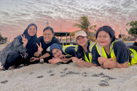 Save the Gili Turtles & Help to Build a Hatchery