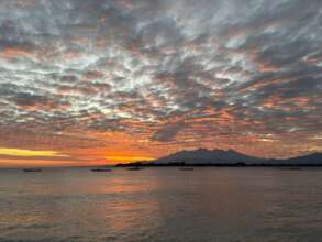 Turtle trackers lucky to witness the sunrise!