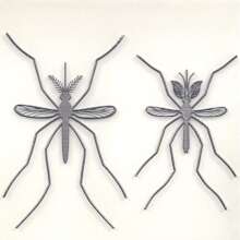 Mosquito Abatement Mali Africa