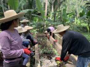 Food production