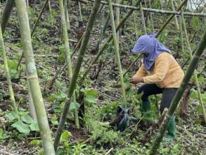 Food production