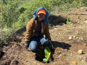 education in field