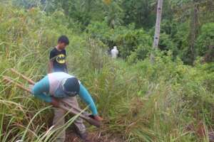 Continue with assistance