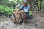 Rainforest Biodiversity Improvement Project