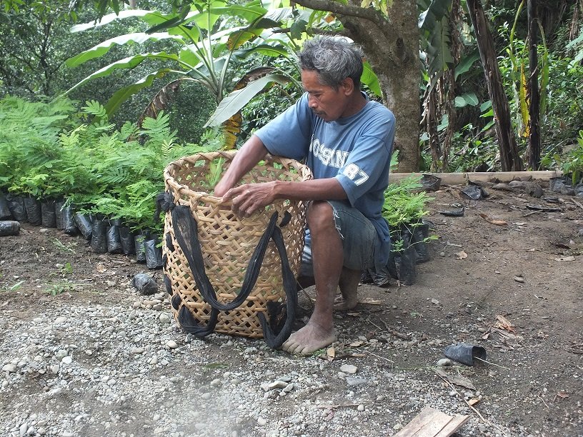 Rainforest Biodiversity Improvement Project