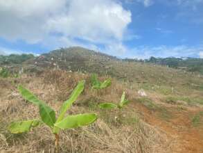 Food production