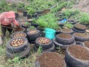 Growing food