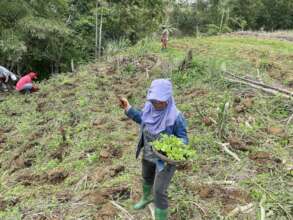 Food production