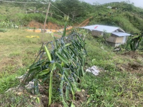 Gravity-fed water system