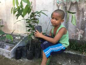 Tree promotion in upland villages