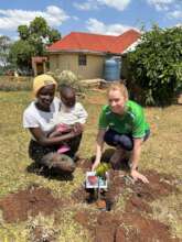 Mango tree planting at WOW Feb 2026