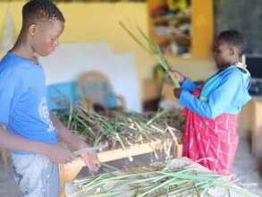 Harvesting of lemongrass from the garden