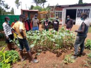 Visit to Organics for Orphans gardens