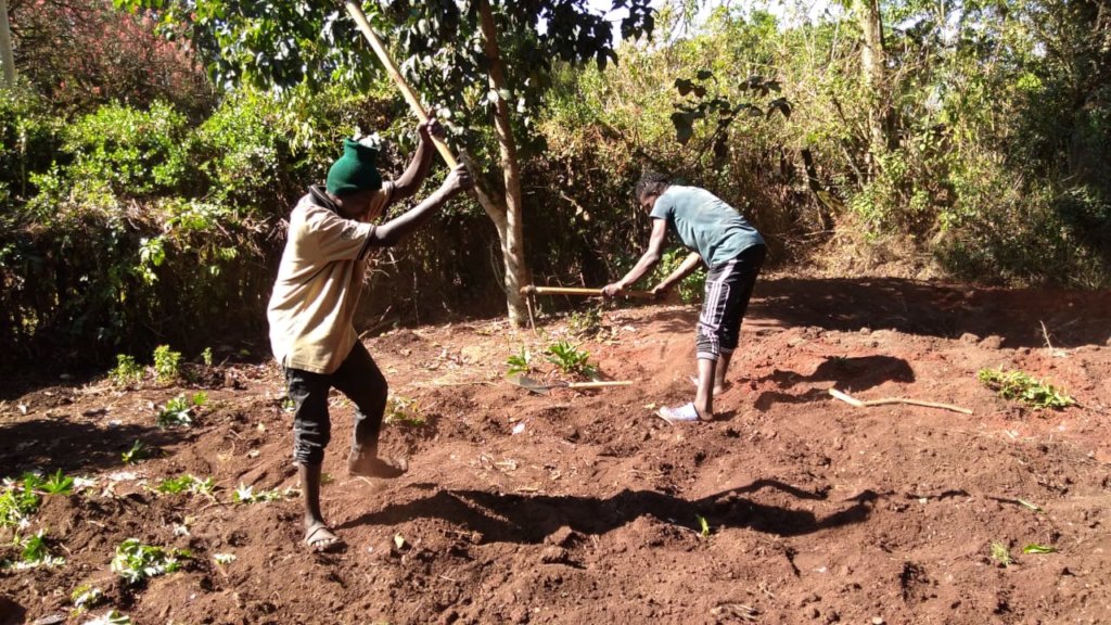 Support to 80 street connected Kenyan youth