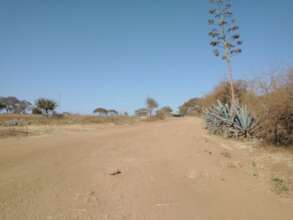 Dry landscape in Simanjiro