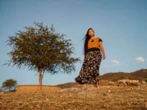Sara among the dry forests of the Istmo