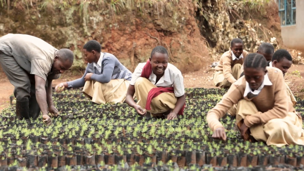 Pay 50 farmers to grow trees in Tanzania!