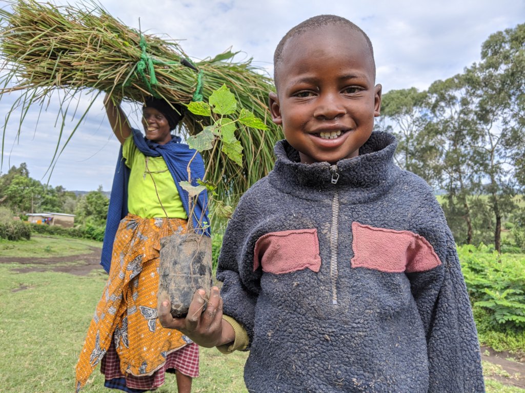 Pay 50 farmers to grow trees in Tanzania!