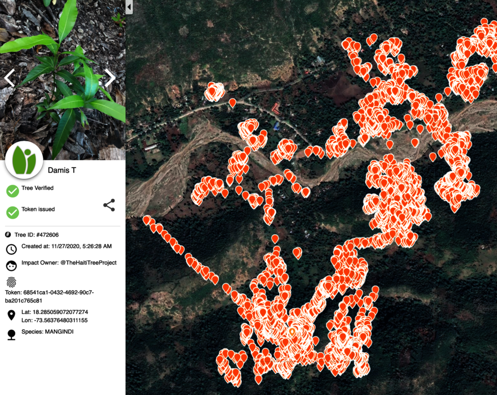 Pay 50 farmers to grow trees in Tanzania!