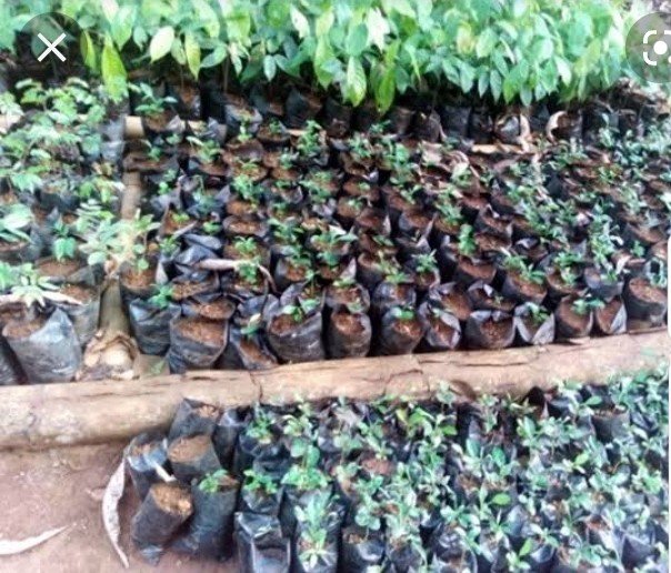 IMPROVING AIR QUALITY IN PUBLIC SCHOOLS IN NIGERIA