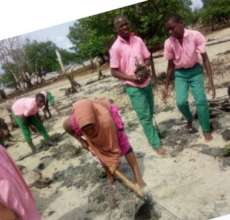 Tree planting in Schools