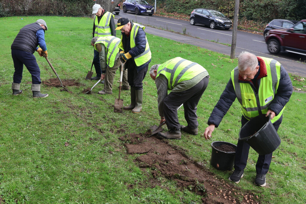The crocus planting team in action