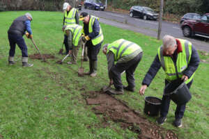 The crocus planting team in action