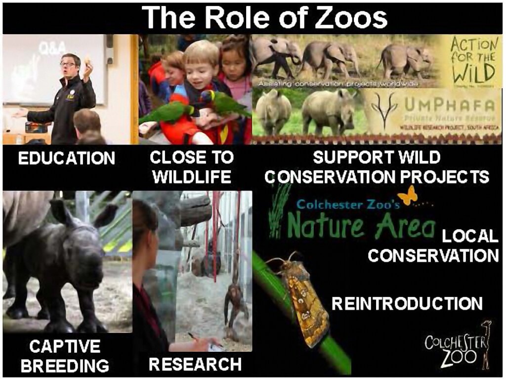 Examples of what Modern Zoos do