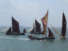 Some distinctive Thames Barges under sail