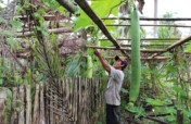 Mindanao Sanitation and Food Security Project