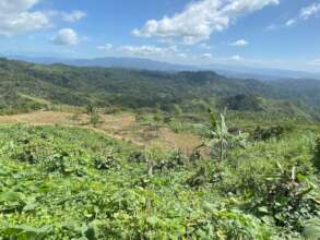 Farming in the mountains