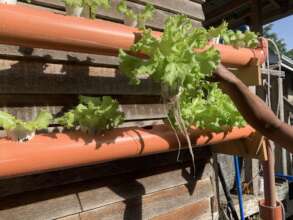 Promoting food production using small spaces