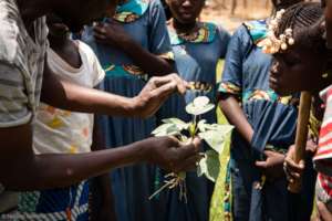 Botanical workshop
