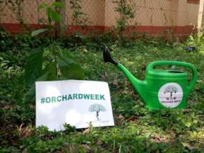 Orchard week