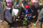Jinja Youth Tree Nurseries