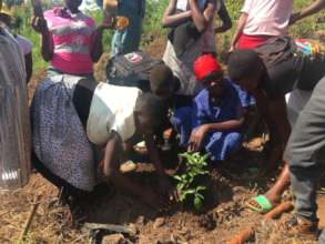 Jinja Youth Tree Nurseries