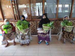 Vegetables basket for the elderly
