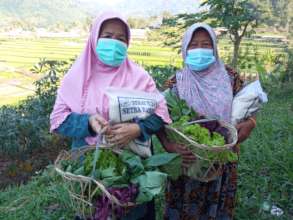 Free vegetable baskets for the elderly