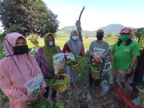 Vegetables basket distribution