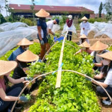 Harvesting