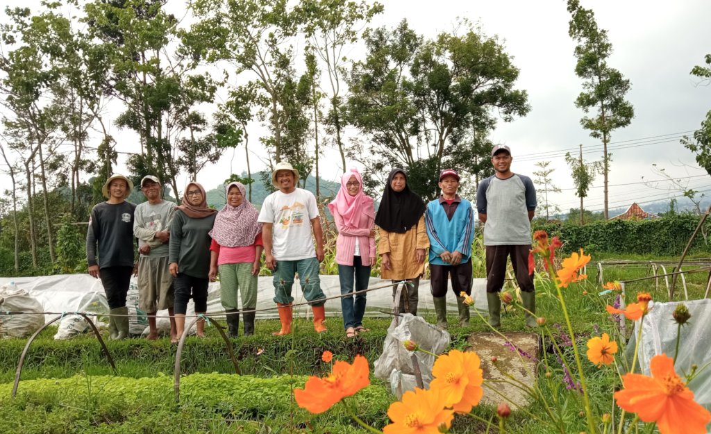 Food security through organic farming in Indonesia