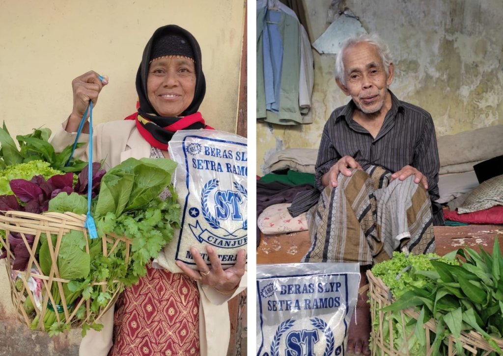 Food security through organic farming in Indonesia