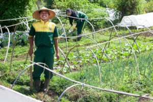 Young farmers training on the farm